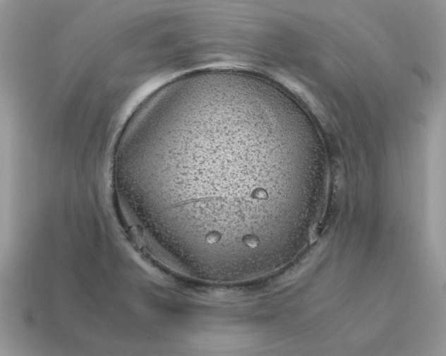 X0000115061375200911091437