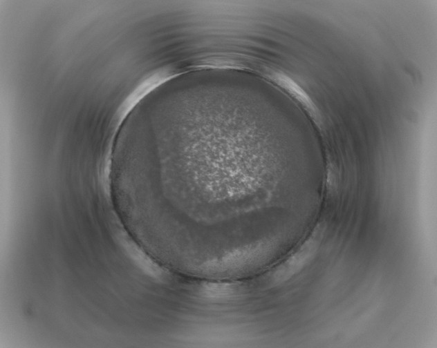 X0000115061378200911091437