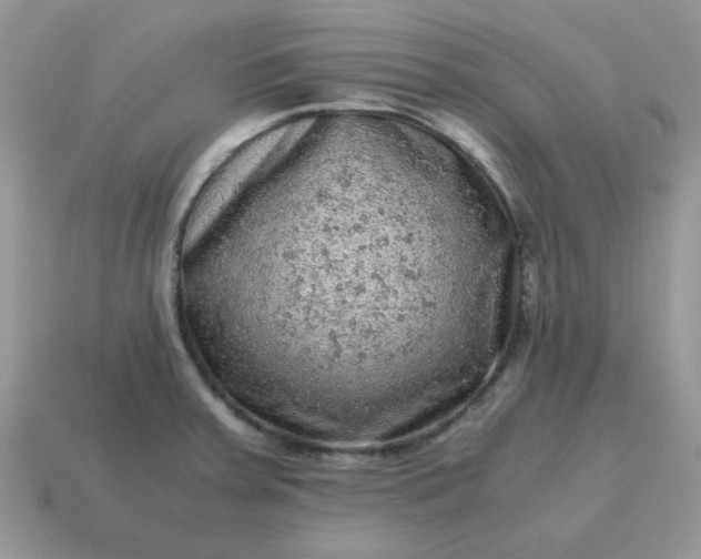 X0000115061379200911091437