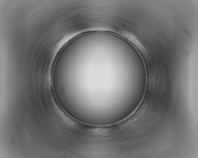 X0000115061380200911091437