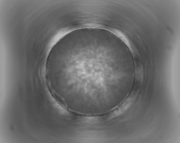 X0000115061381200911091437