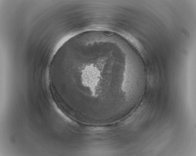 X0000115061382200911091437
