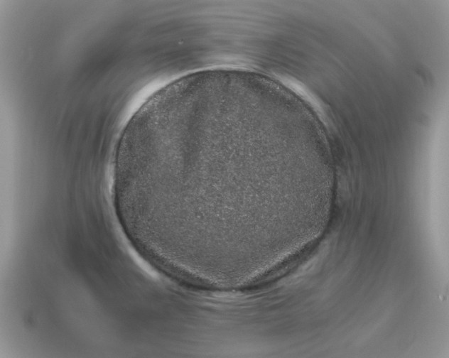 X0000115061383200911091437