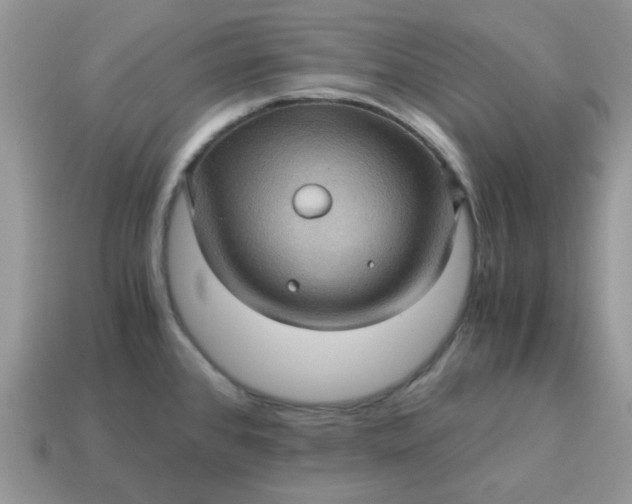 X0000115061384200911091437