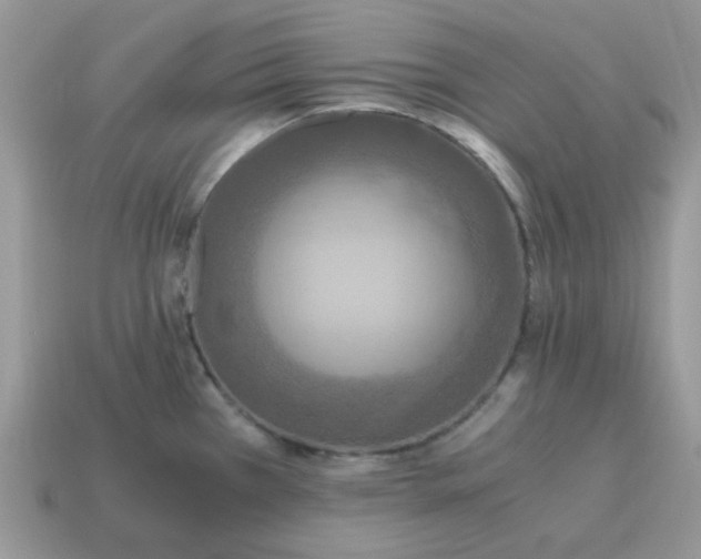 X0000115061385200911091437