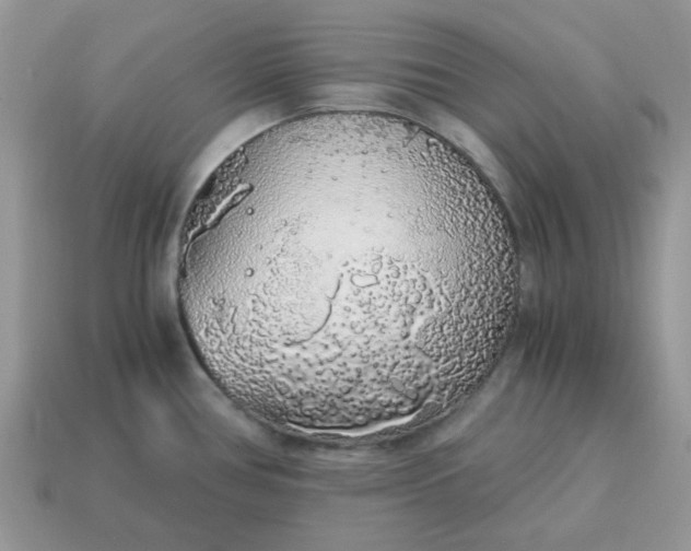 X0000115061386200911091437