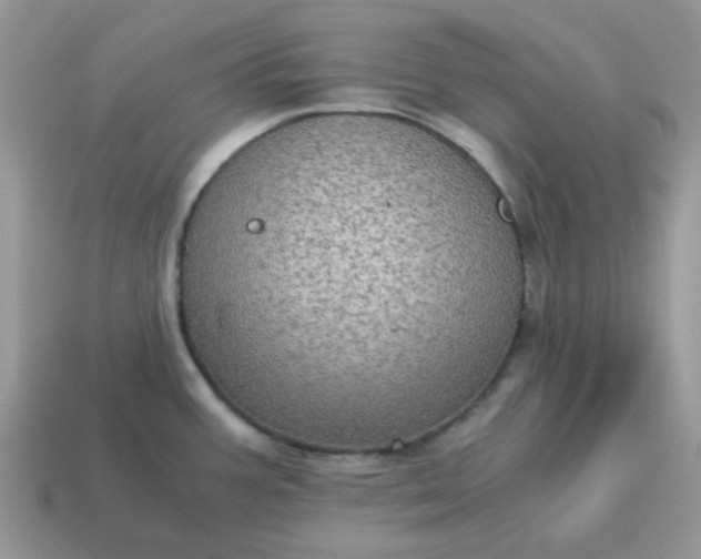 X0000115061387200911091437