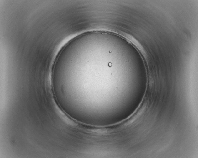 X0000115061388200911091437