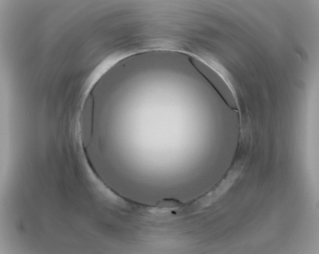 X0000115061389200911091437