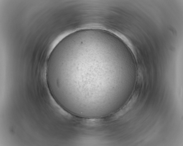 X0000115061390200911091437