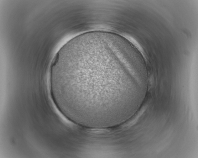 X0000115061391200911091437