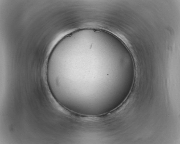 X0000115061392200911091437