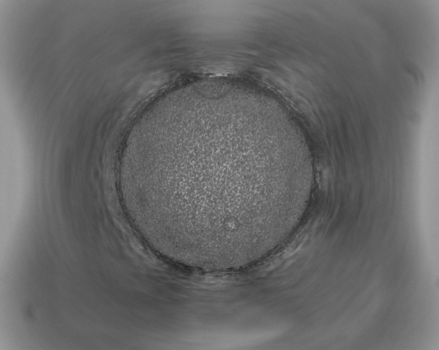X0000115061393200911091436