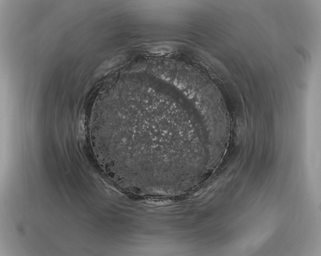X0000115061394200911091436