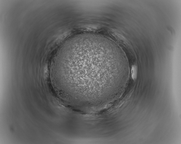 X0000115061395200911091436