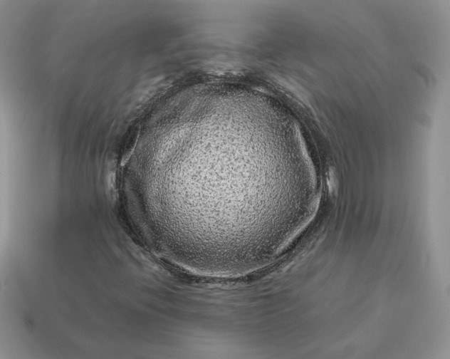 X0000115061396200911091436