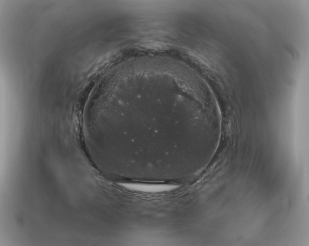 X0000115061397200911091436