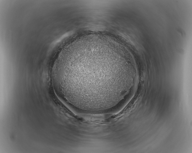 X0000115061398200911091436