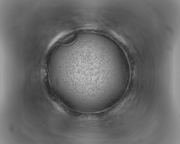 X0000115061400200911091436
