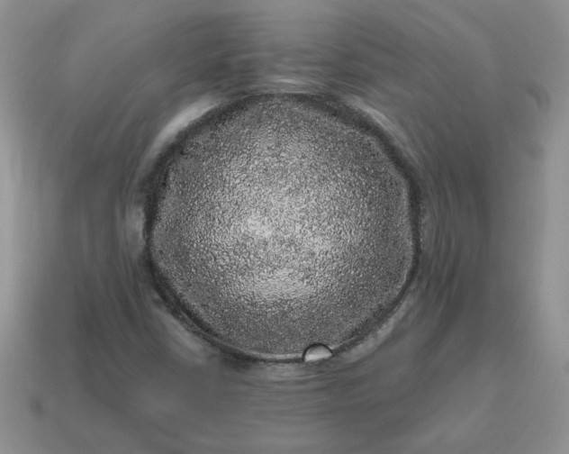X0000115061402200911091436