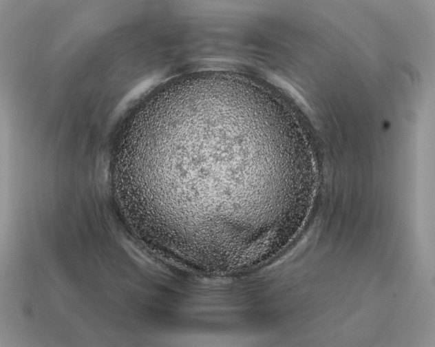 X0000115061403200911091436