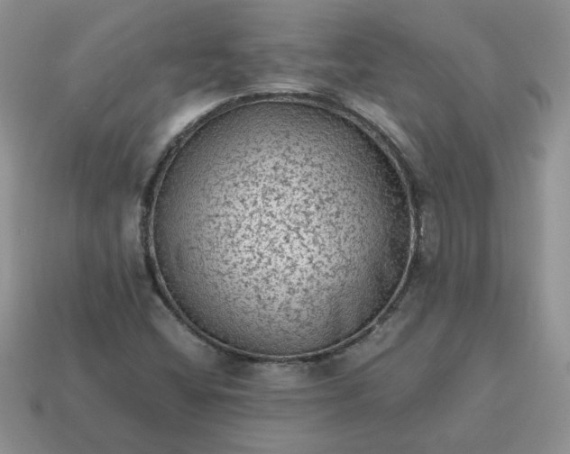X0000115061404200911091436