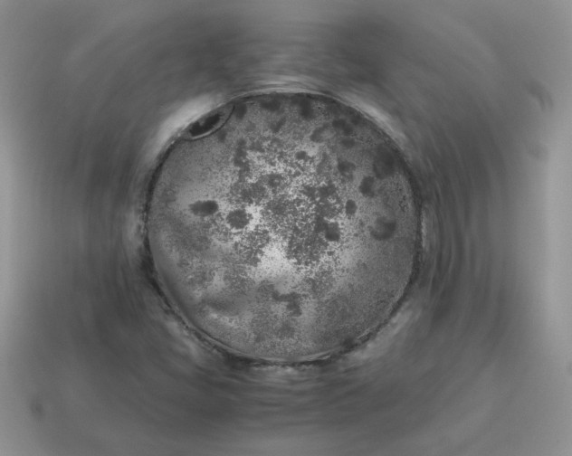 X0000115061405200911091436