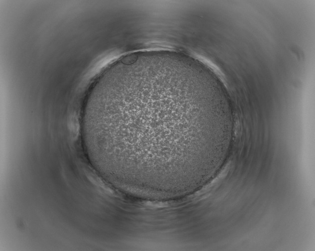 X0000115061407200911091436
