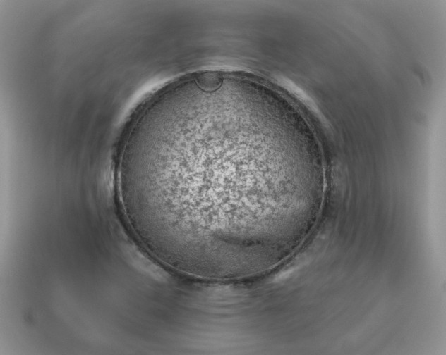 X0000115061408200911091436