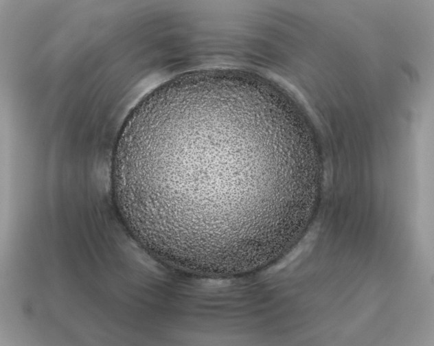 X0000115061409200911091436