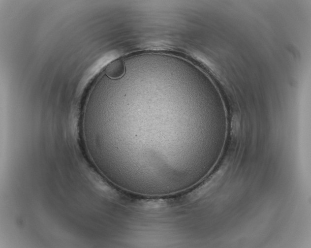 X0000115061410200911091436