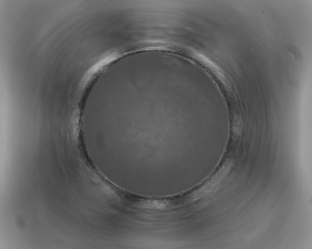 X0000115061411200911091436