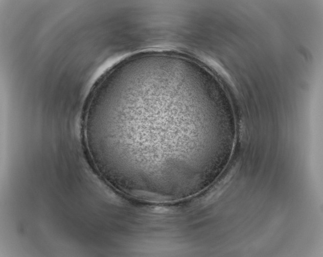 X0000115061412200911091436