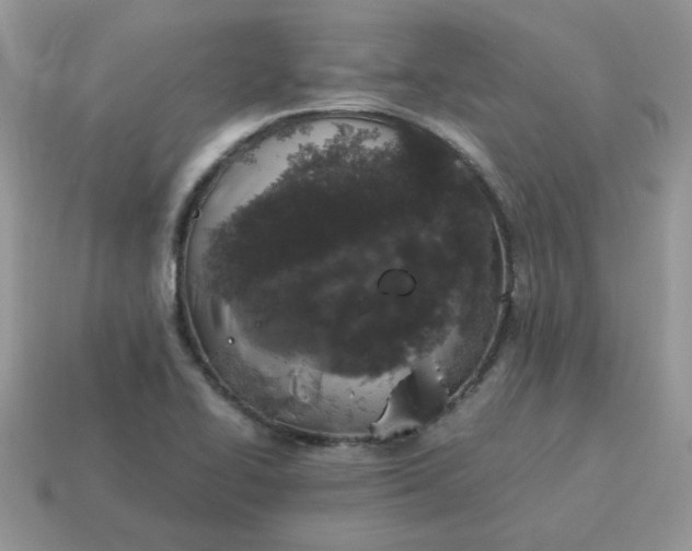 X0000115061414200911091436