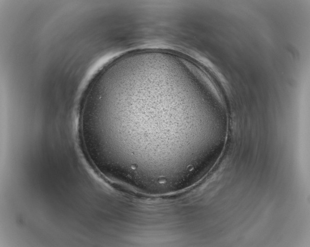 X0000115061416200911091436