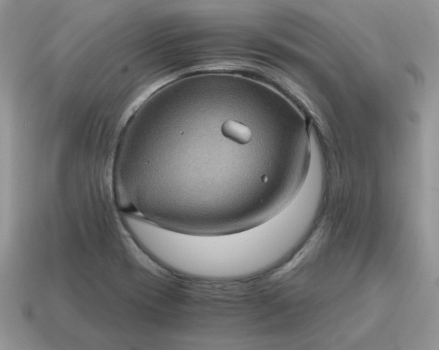 X0000115061417200911091436