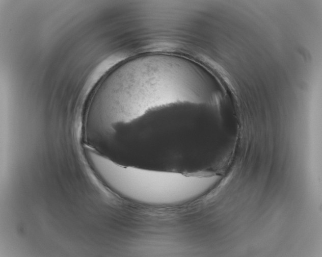 X0000115061418200911091436