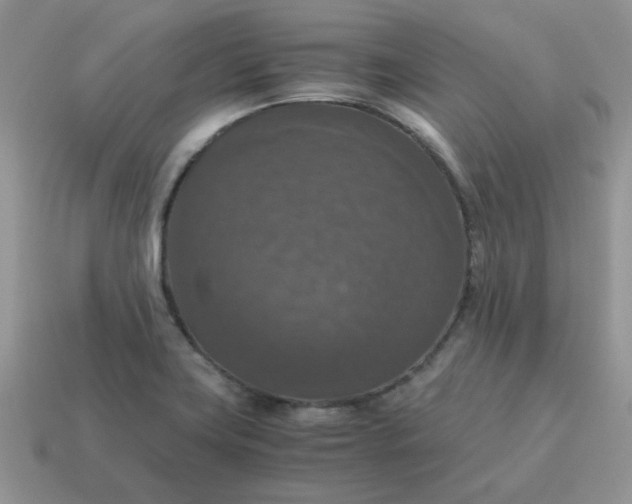 X0000115061419200911091436