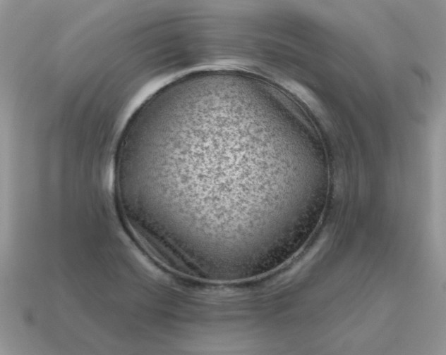 X0000115061420200911091436