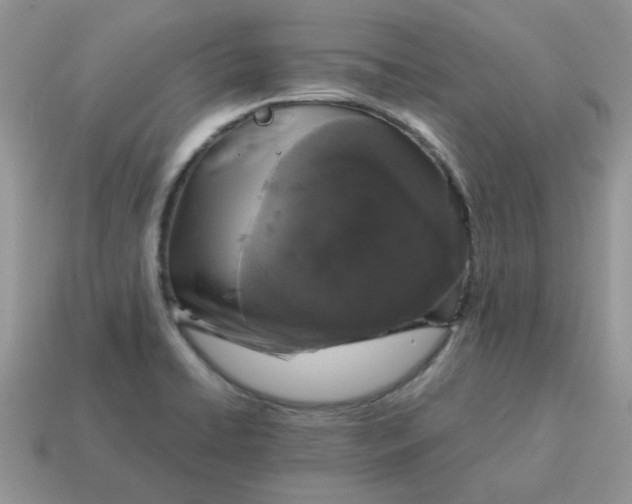 X0000115061422200911091436