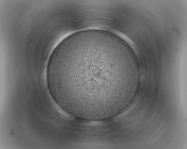 X0000115061423200911091436