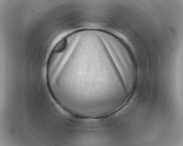 X0000115061424200911091436