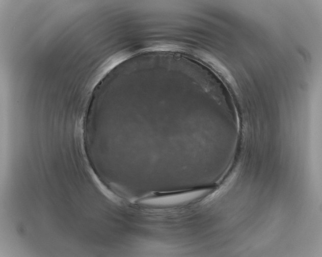 X0000115061425200911091436