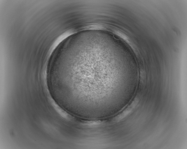 X0000115061426200911091436