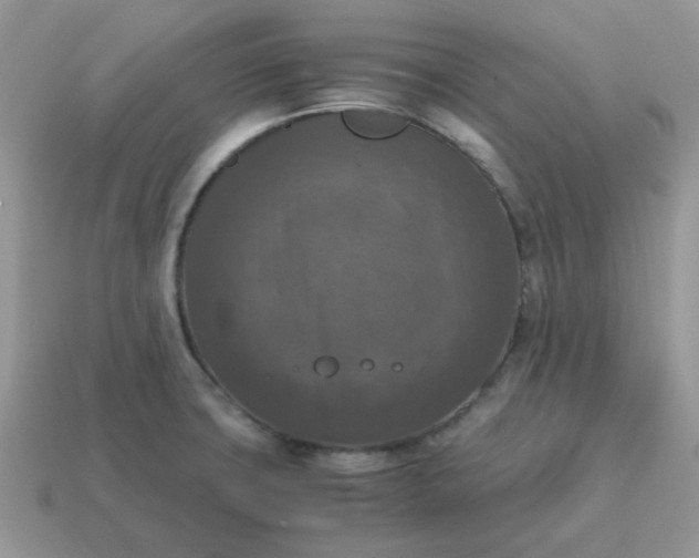 X0000115061427200911091436