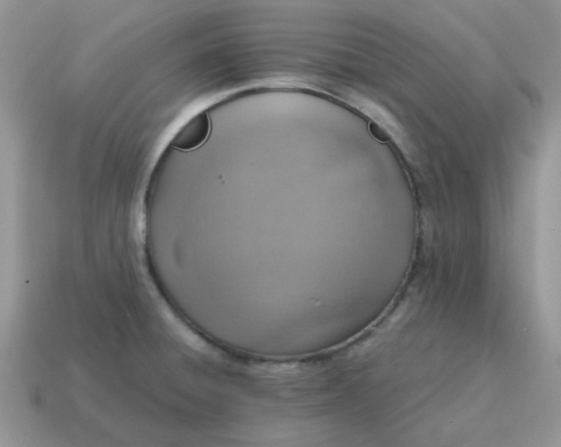 X0000115061428200911091436