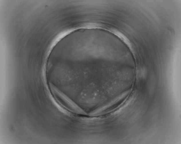 X0000115061429200911091436