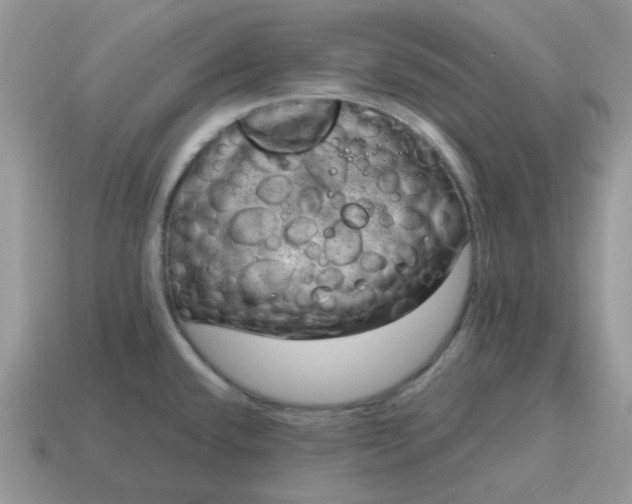 X0000115061432200911091437