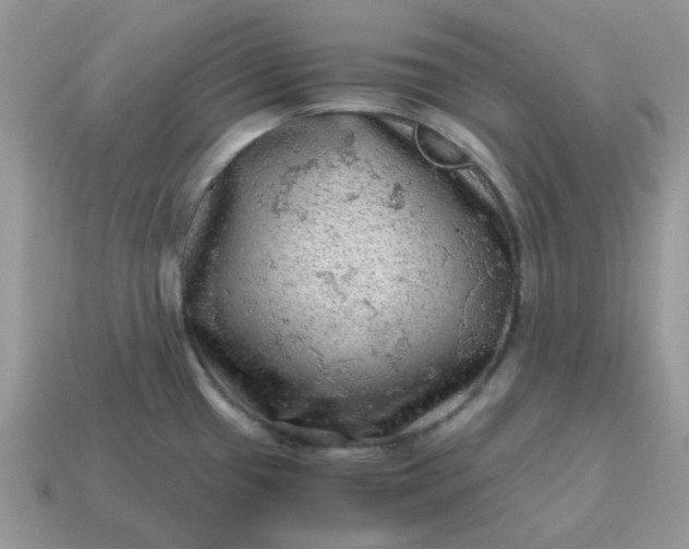 X0000115061433200911091437