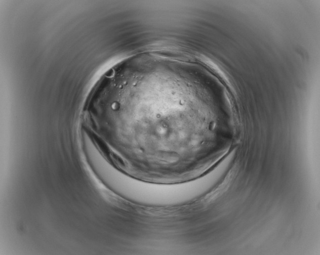 X0000115061434200911091437
